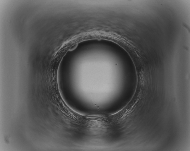 X0000100971494200806241538