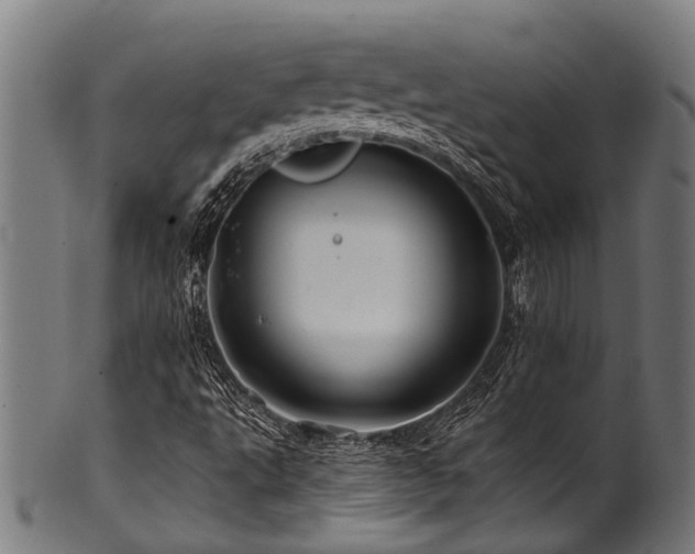 X0000100971495200806241538