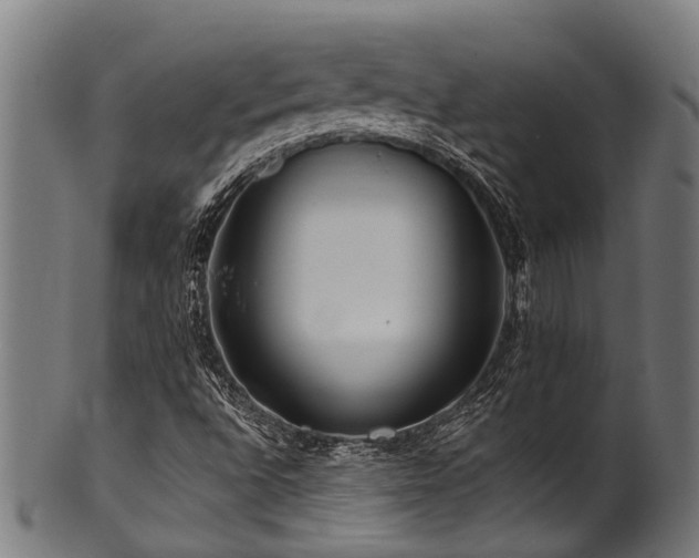 X0000100971496200806241538