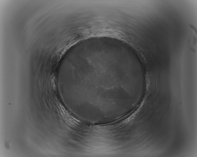 X0000100971497200806241538