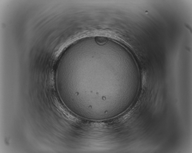 X0000100971498200806241538