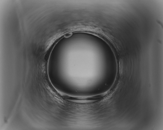 X0000100971501200806241538