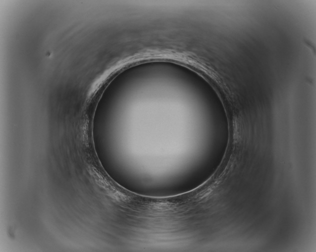 X0000100971502200806241538