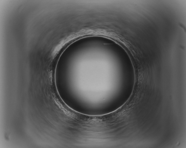 X0000100971503200806241538