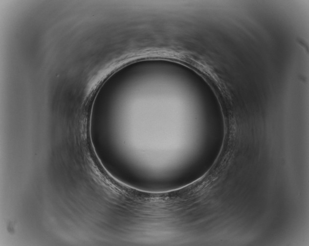 X0000100971504200806241538