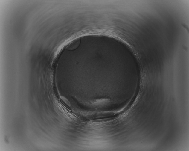 X0000100971506200806241538