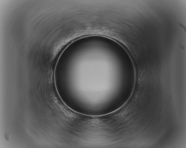 X0000100971507200806241538