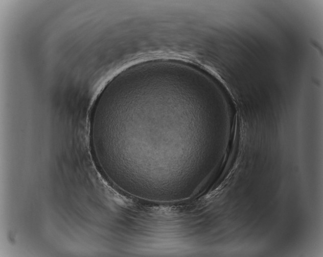 X0000100971508200806241538