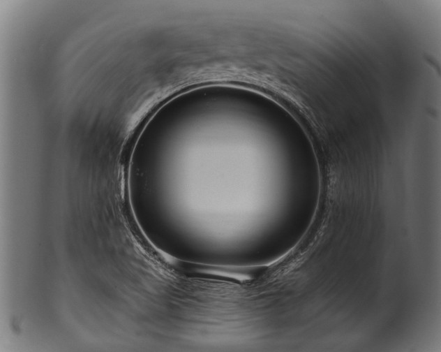 X0000100971509200806241538