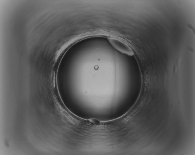 X0000100971510200806241538