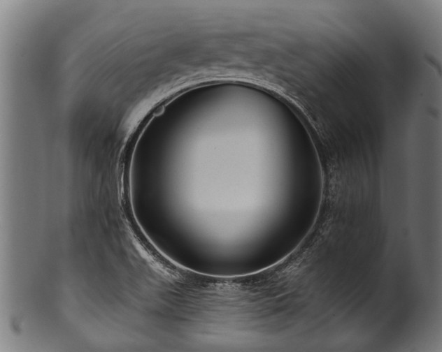 X0000100971511200806241538