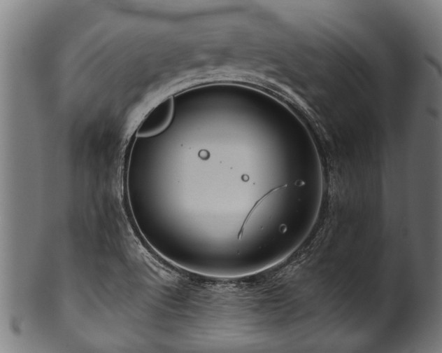 X0000100971512200806241538