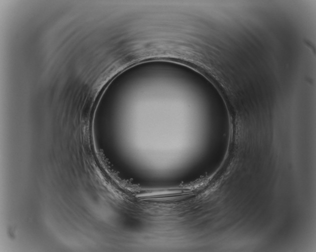 X0000100971513200806241538