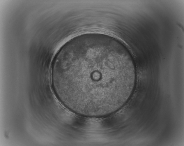 X0000100971514200806241538