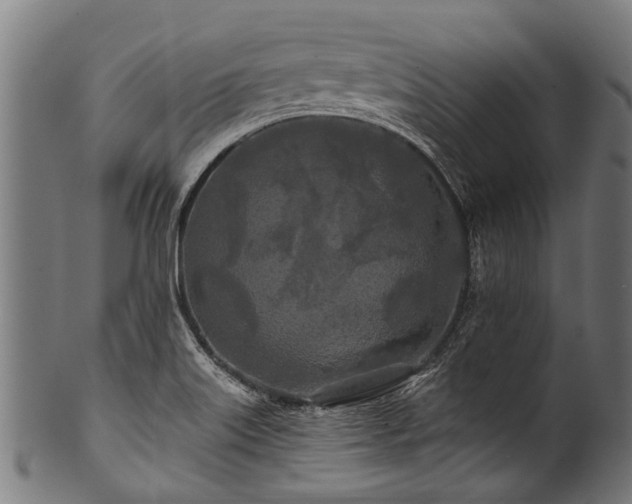 X0000100971515200806241538