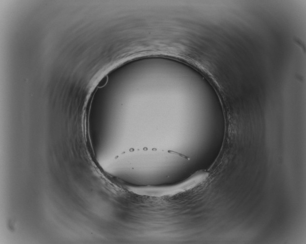 X0000100971516200806241539