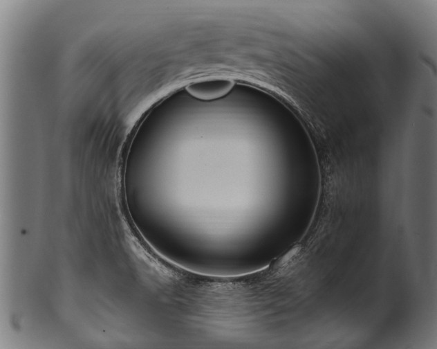 X0000100971518200806241539