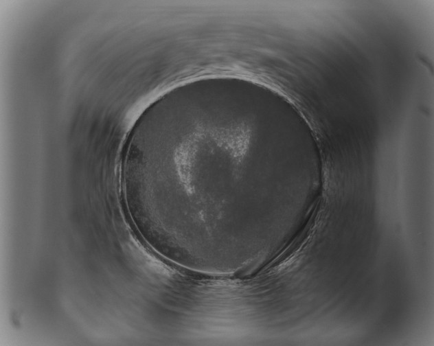 X0000100971519200806241539