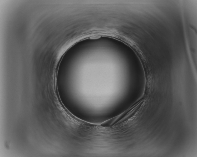 X0000100971520200806241539