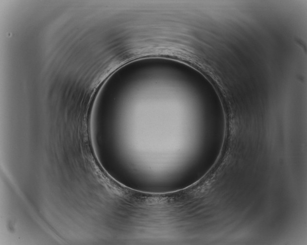 X0000100971521200806241539