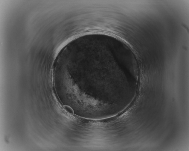 X0000100971522200806241539