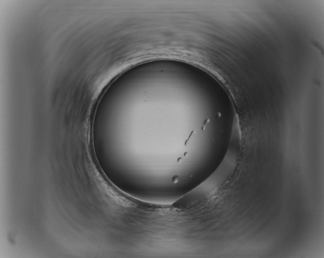 X0000100971523200806241539