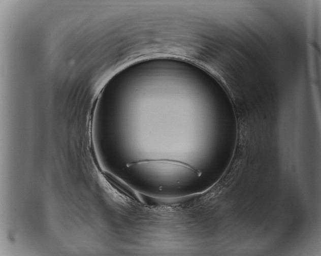 X0000100971524200806241539