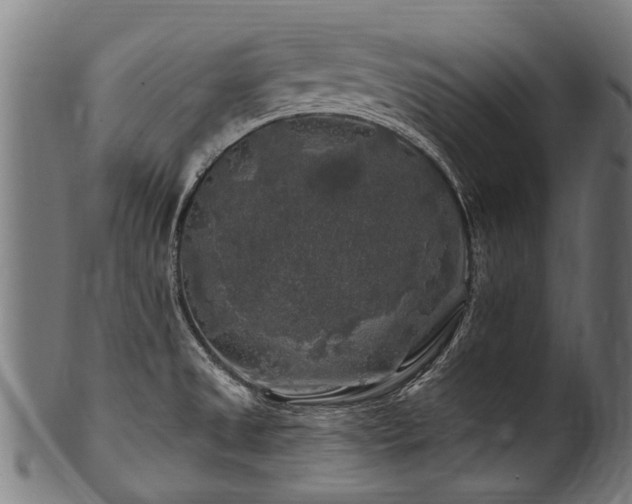 X0000100971525200806241539