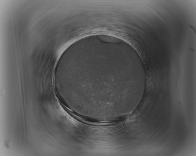 X0000100971527200806241539