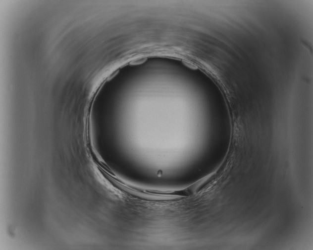 X0000100971528200806241539