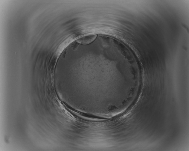 X0000100971529200806241539