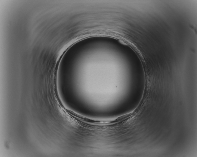 X0000100971530200806241539