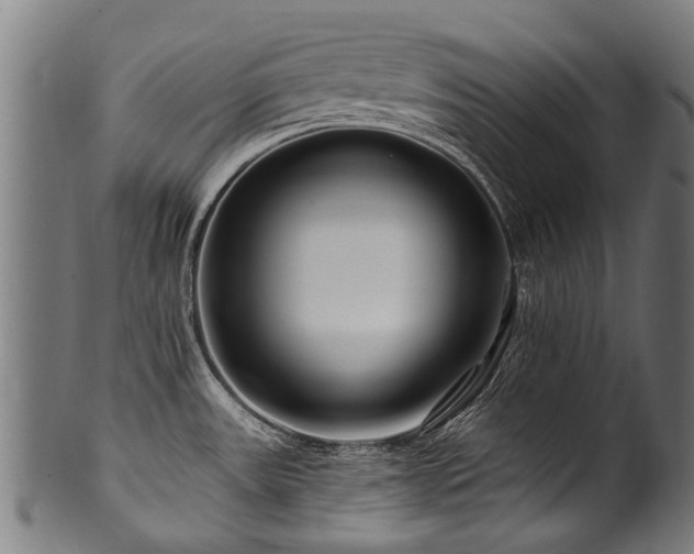 X0000100971531200806241539