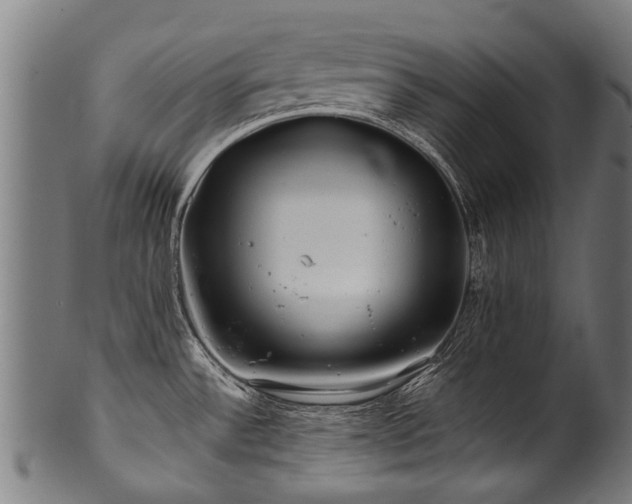 X0000100971532200806241539