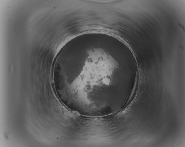 X0000100971533200806241539