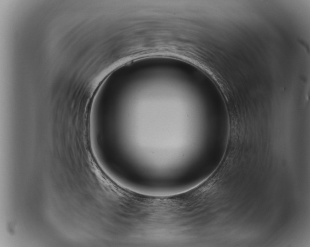 X0000100971534200806241539