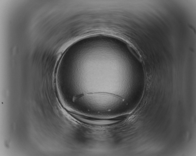 X0000100971535200806241539