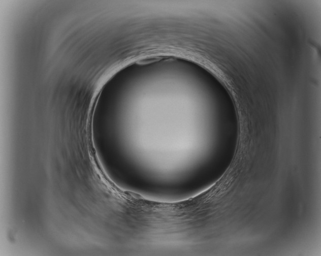 X0000100971536200806241539