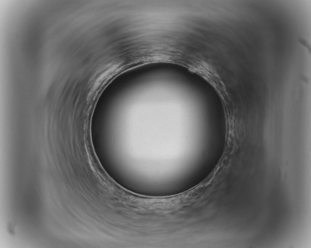 X0000100970001200807011431