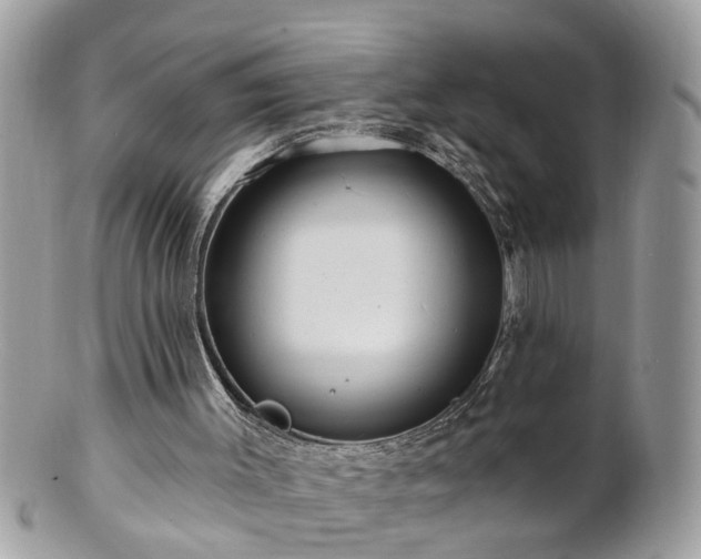X0000100970003200807011431