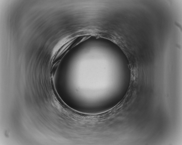 X0000100970004200807011431