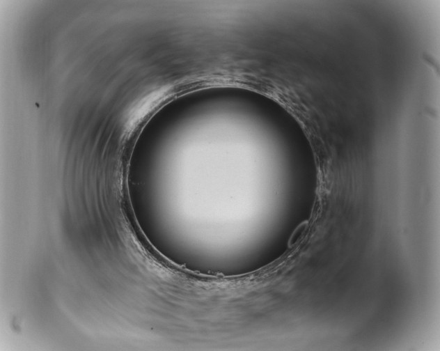 X0000100970005200807011431