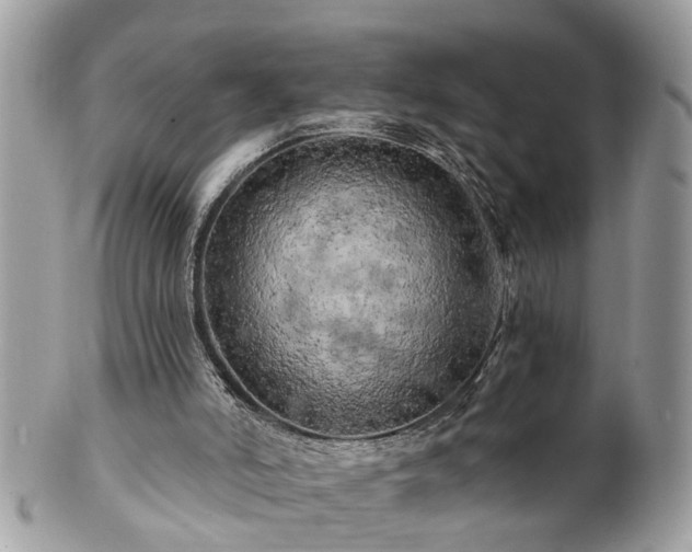 X0000100970006200807011431