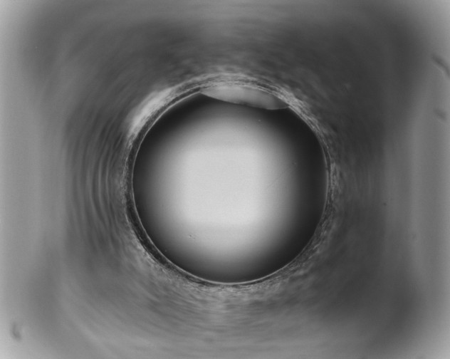 X0000100970007200807011431