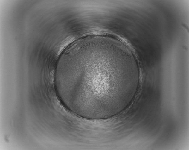 X0000100970010200807011431