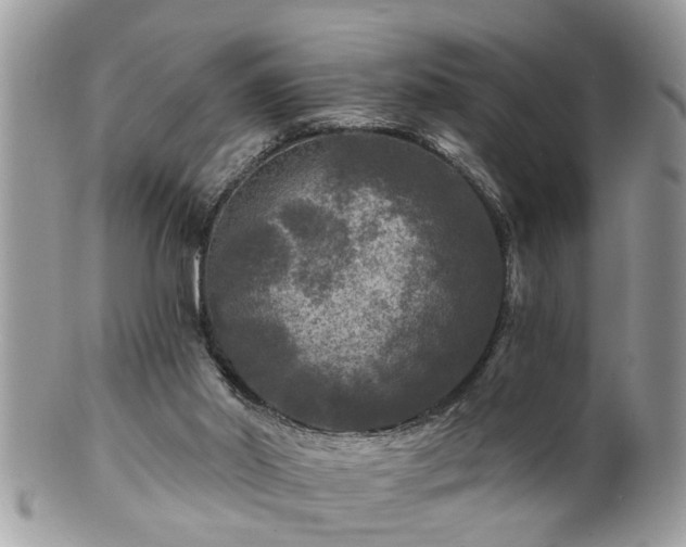 X0000100970014200807011431