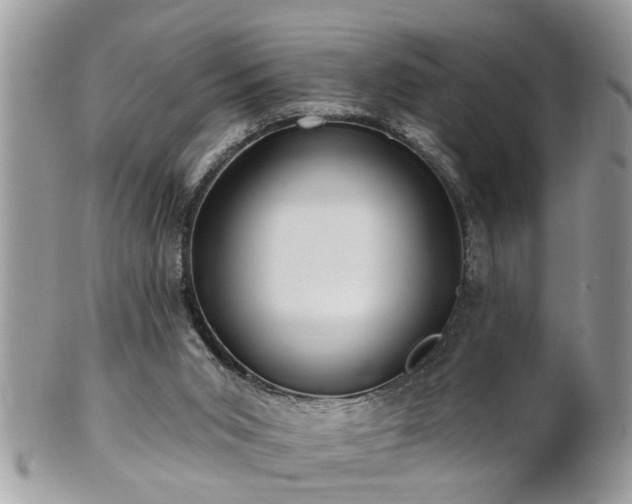 X0000100970015200807011431