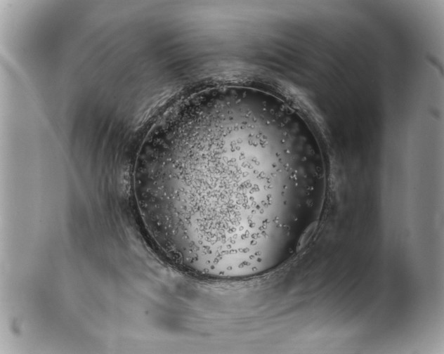 X0000100970017200807011431