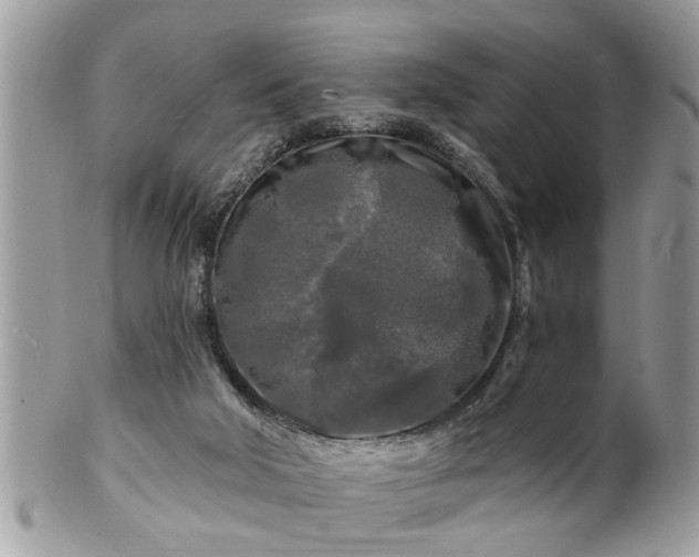 X0000100970018200807011431