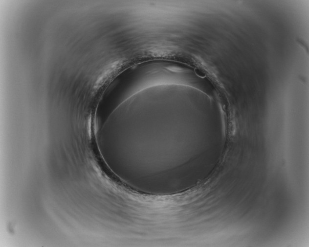 X0000100970019200807011431